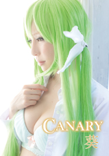 【bit034】Canary