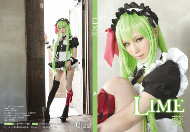 package_bit_033Lime_719